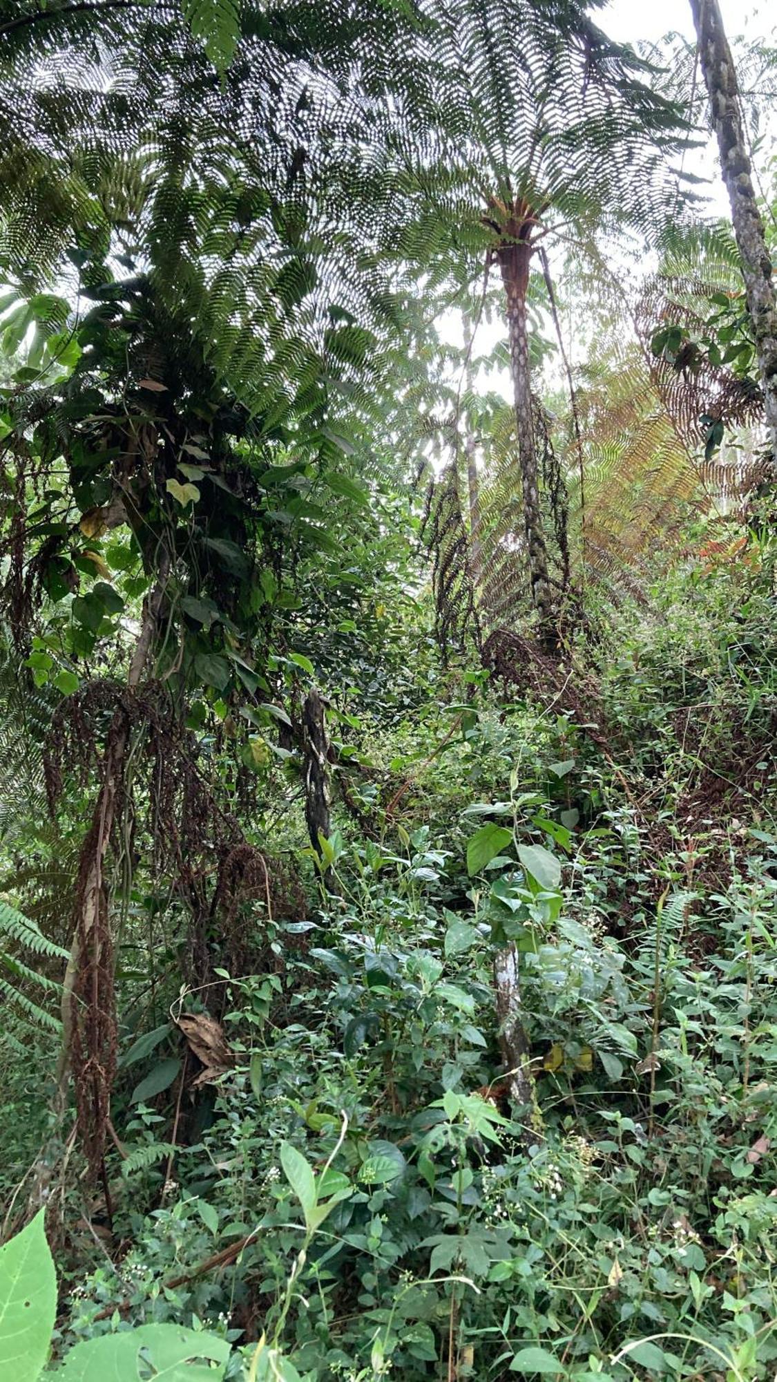 Chalet Entre El Y La Ceja El Retiro (Antioquia)
