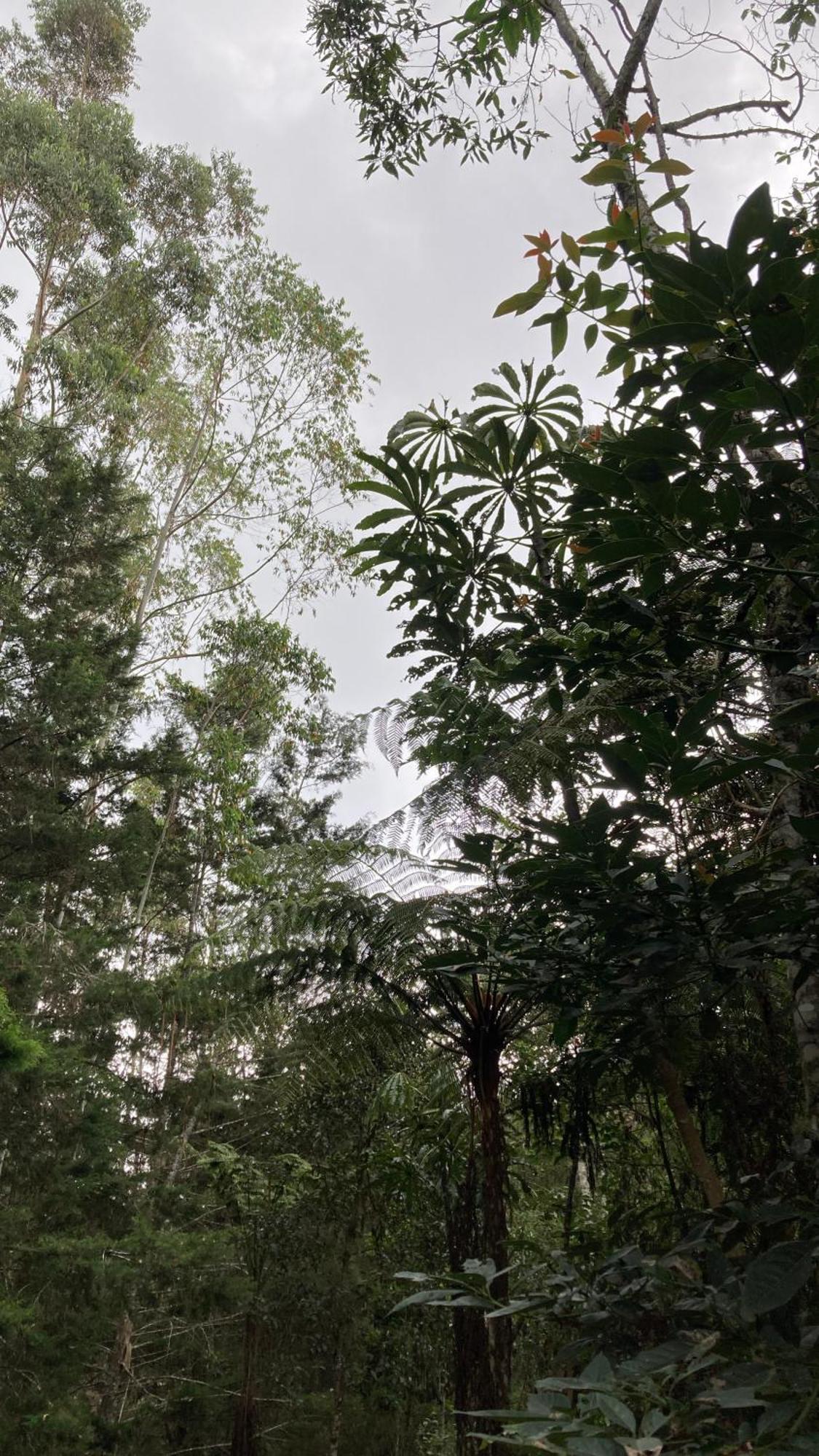 Entre El Y La Ceja Chalet El Retiro (Antioquia)